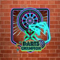 Darts Champion